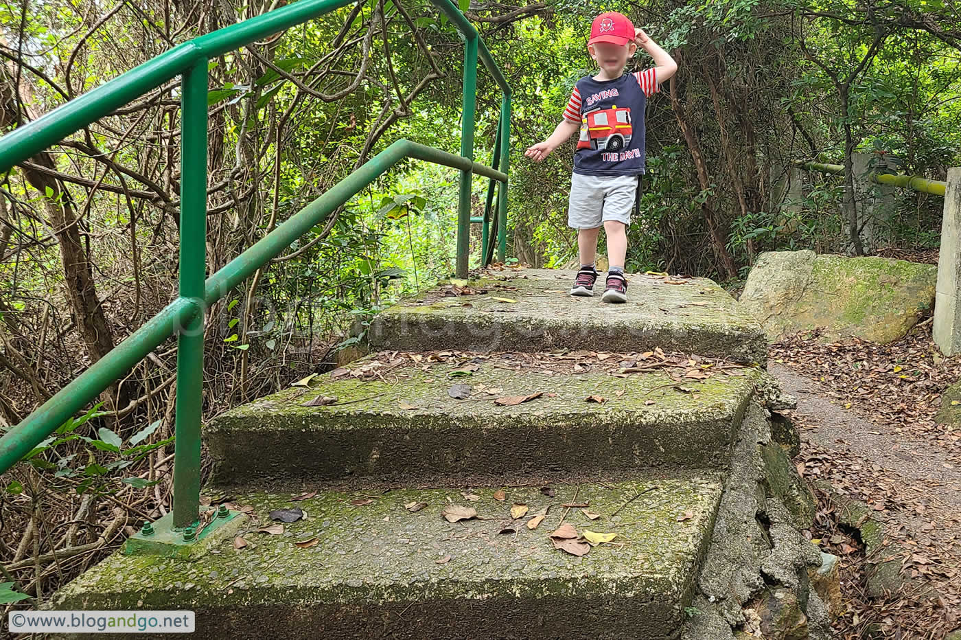 Tung O Trail - Challenging Hike for a Toddler